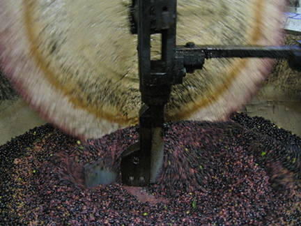 Moulin à huile Nicolas Alziari - Nice